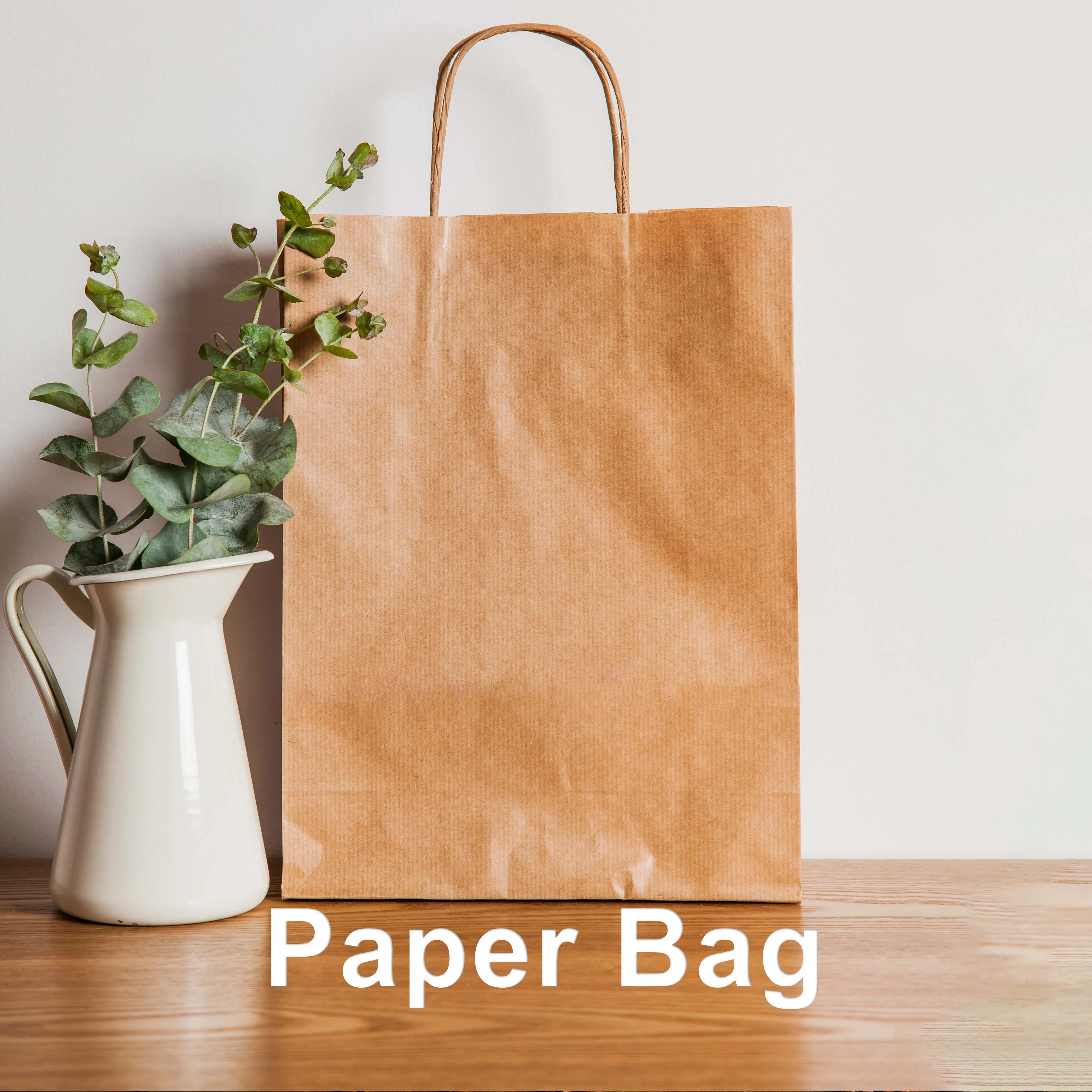 Manufacturers of Rope Handle Paper Bags