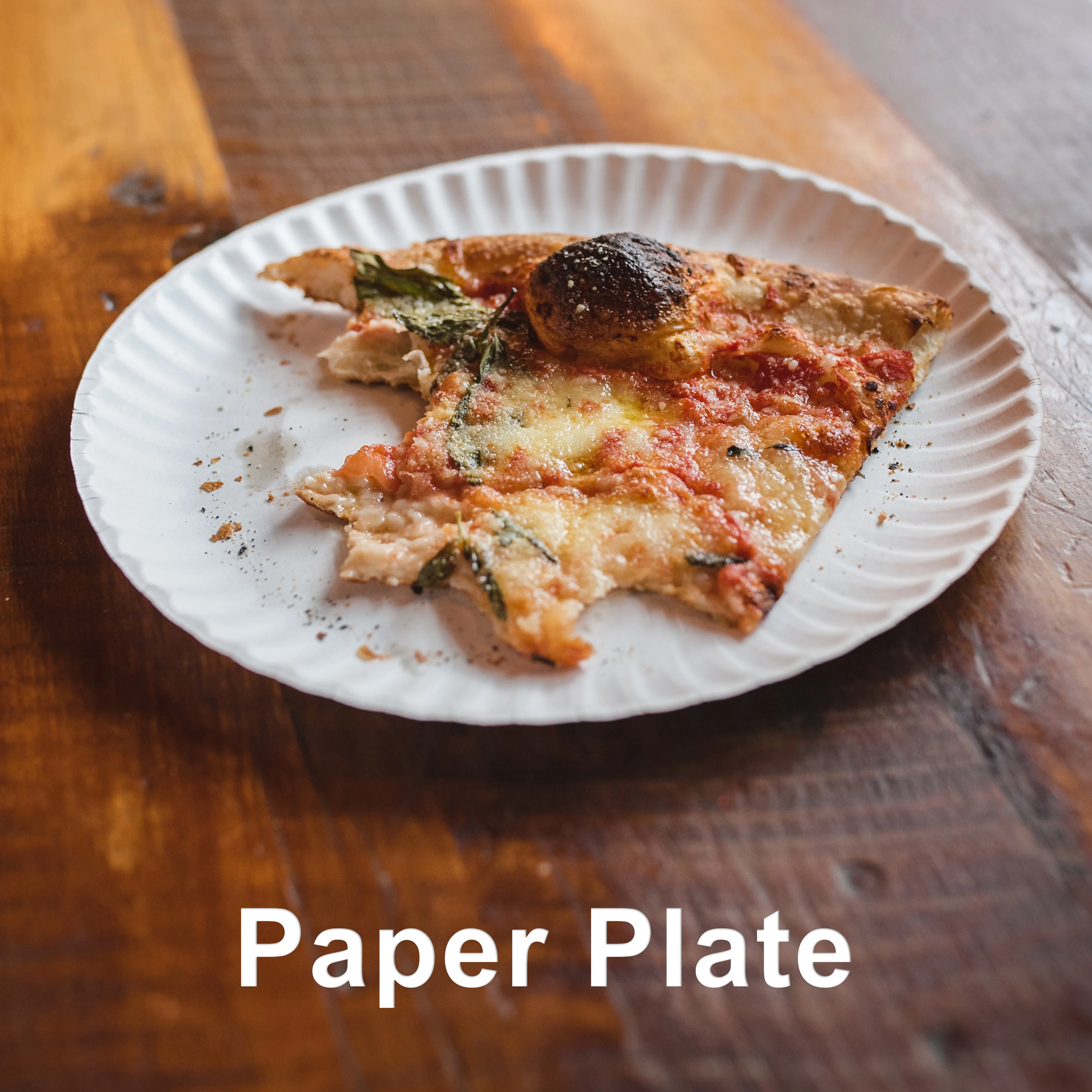 Manufacturers of Paper Plates